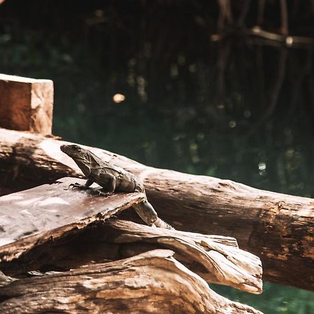 Uman Glamping&Cenote Tulum Hotel Exterior foto