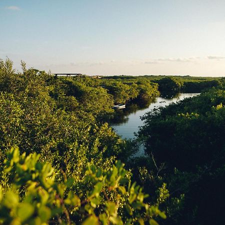 Uman Glamping&Cenote Tulum Hotel Exterior foto
