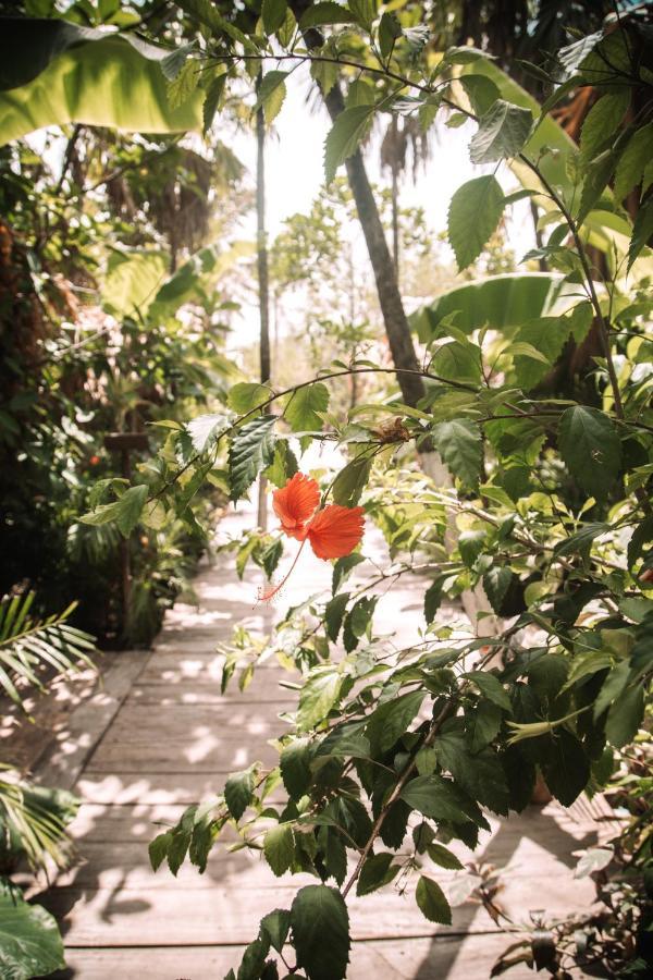 Uman Glamping&Cenote Tulum Hotel Exterior foto