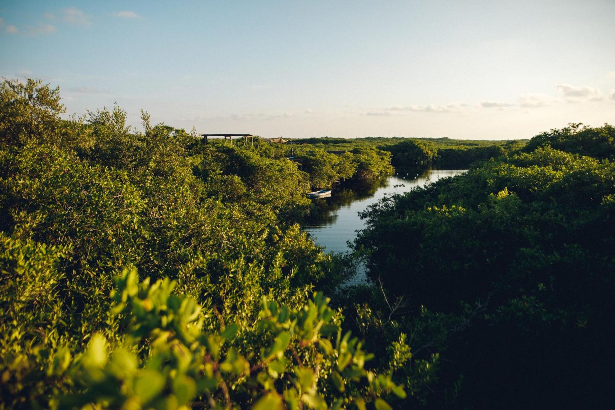 Uman Glamping&Cenote Tulum Hotel Exterior foto