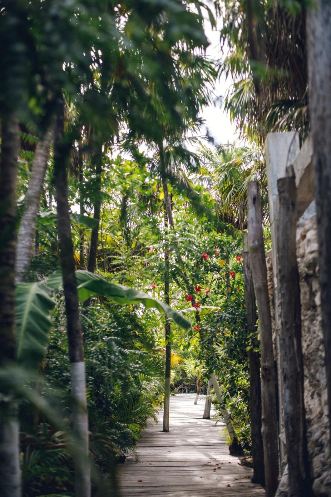 Uman Glamping&Cenote Tulum Hotel Exterior foto